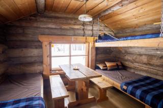 Wilderness Cabin on a Private Island - Jyrkkä - 8