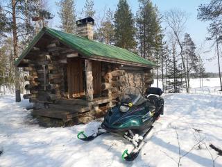 Wilderness Cabin on a Private Island - Jyrkkä - 2