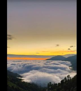 Hotel Nature Glory Pangot - Nainital - 8