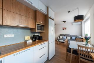 Prague Sports District 2 BR Apt - Prague - 5