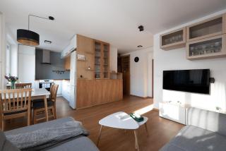 Prague Sports District 2 BR Apt - Prague - 2