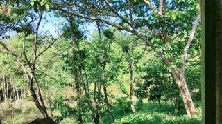 Casa de campo GN - 4