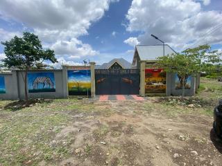 Antelope homestay - - 9