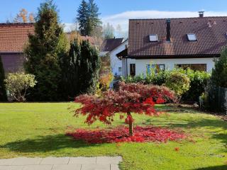 Ferienwohnung Pusteblume - Wangen im Allgäu - 3