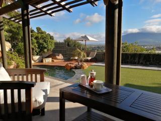 African Violet - Loft Living - 0