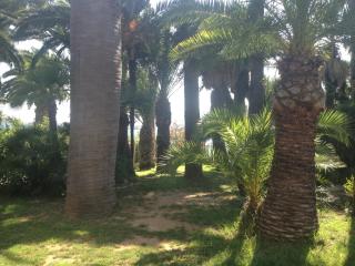 La Mandarinette - La Seyne-sur-Mer - 1