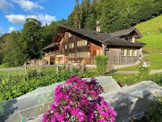 Ferienhaus Schönenmatte - Zweisimmen - 0