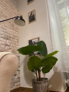 Dóri s lovely apartment in budapest - Boedapest - 1