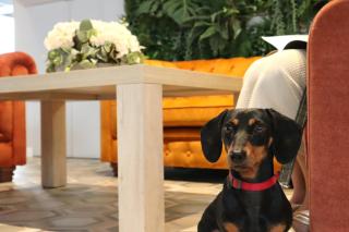 Neptuno Apartments - Calella - 4