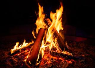Dandeli Wild Inn - Dandeli - 4
