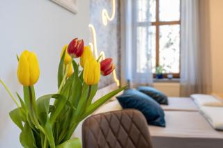 Kleine Ferienwohnung mit Garten - - 6