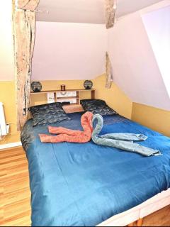 Les Combles de Colbert- hyper center - 9