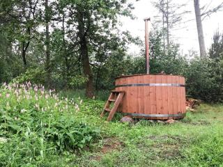 Unique Log Cabin In Quiet Forest - Brande - 6
