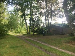 Unique Log Cabin In Quiet Forest - Brande - 1