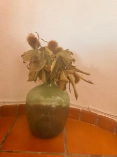 Nuestra Casa Parauta - 4