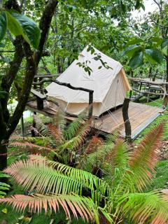 Hà Farmstay - Xuân Trường - 4