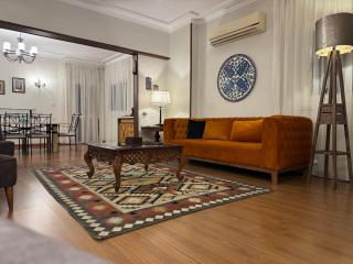 Nile View Apartment in Zamalek Stays - Il Cairo - 1