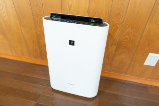 Green Oasis Cottage A - 9