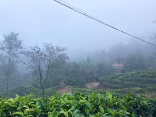 Ella Wild Grass Inn - Ella - 2