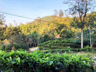 Ella Wild Grass Inn - 1