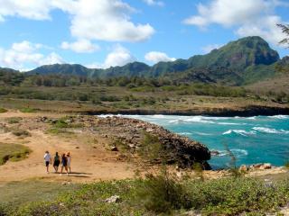 Ocean view, Beautiful sunrise, Private pool, Walk to beaches - Koloa - 7