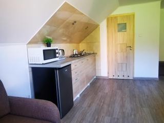 Apartamenty w dolinie 665-733-924 - Zawóz - 1