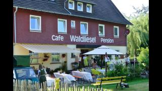 Pension Waldliesel - Dornstetten - 9