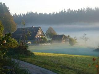 Unterfalkenhof - Schramberg - 4