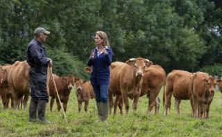 Pet friendly, spacious farmhouse on the Courtomer Estate, Normandy - 8