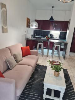 la palais osiris Nice centre jardin wifi clim parking - Nizza - 5
