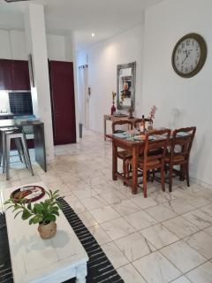 la palais osiris Nice centre jardin wifi clim parking - Nice - 3