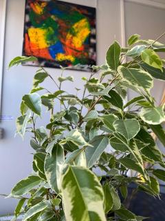 Central & Cozy Artistic Loft - Walk everywhere - 4