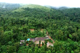 Karadikallu Homestay with Private Waterfalls - Sakleshpur - 8