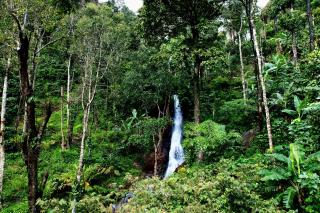 Karadikallu Homestay with Private Waterfalls - Sakleshpur - 1