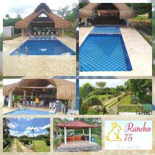 Rancho 75 Eco Park - Arjona - 0