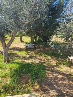 La pace di sestu - 9