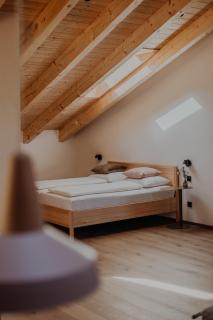 Hofstatt Salzburg - Ferienwohnung - Söllheim - 5