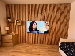 APARTMENTS TRENČÍN -Free Parking- - 9