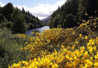 True North Lodge - A cosy wee highland Getaway - 1