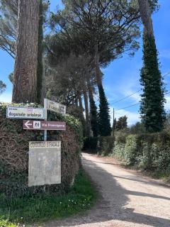 Podere Vasella - Panoramic attic - Capranica - 2