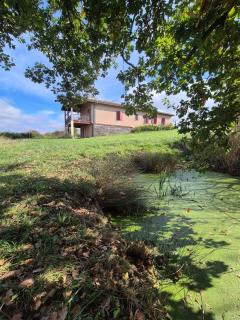Beautiful house with pool table in a green setting - Lartigue - 5