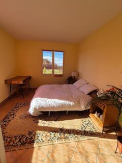 Beautiful house with pool table in a green setting - Lartigue - 4