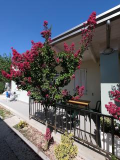 Gemma - Fermo - 3
