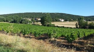 Roulotte domaine Farigoule - Baron - 6