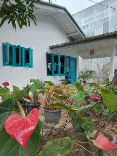 Amma's Garden - Unawatuna - 0