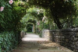 Château de Potelières - Potelières - 2