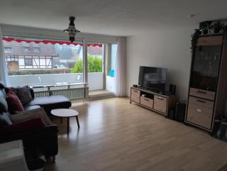 Simple Rhine view apartment - Busingen am Hochrhein - 4