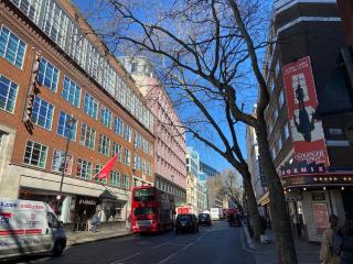 Lovely 2 bed flat in SOHO! - Londres - 2