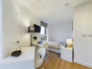 Charming Studio type in Cheltenham - Manchester - 8