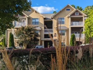OMG! Adults Only Fun - Word of the Day Pineapples Sleeps 3 Maybe 4 Wink Wink - INSTANT BOOKING Pools & Clubhouse still Open - 9